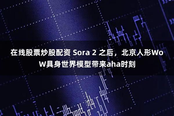 在线股票炒股配资 Sora 2 之后，北京人形WoW具身世界模型带来aha时刻