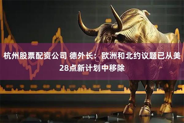 杭州股票配资公司 德外长：欧洲和北约议题已从美28点新计划中移除
